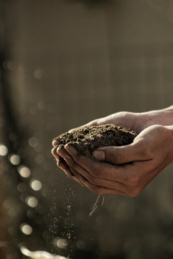 hands holding sand