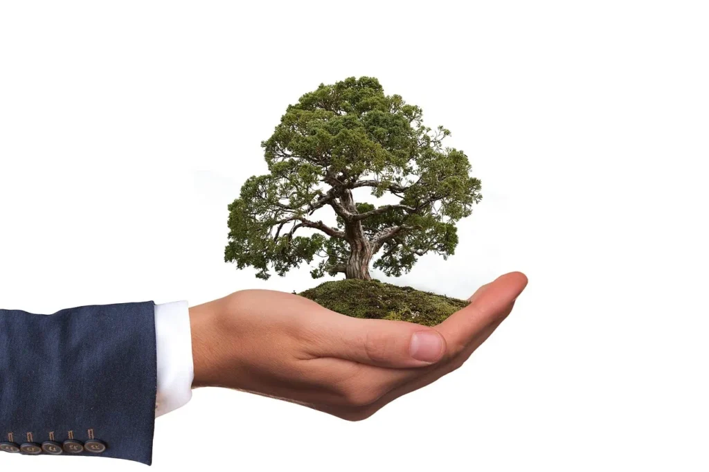 Business person holing a bonsai