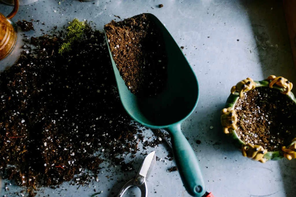 soil and shovel on the ground